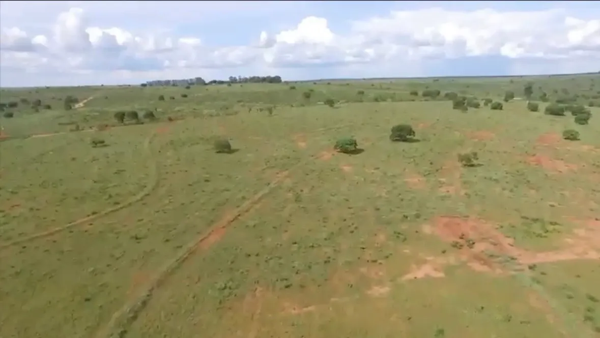 Fazenda na Pecuária em Ribas do Rio Pardo-MS