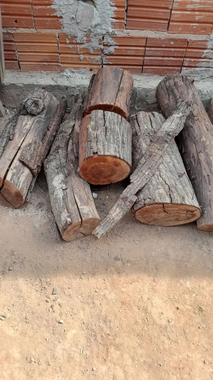 Lenha 64316917301123121