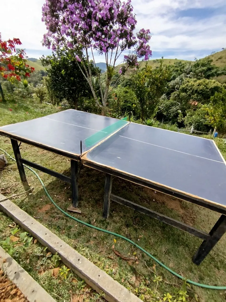 Mesa de Ping Pong - Procópio Oficial