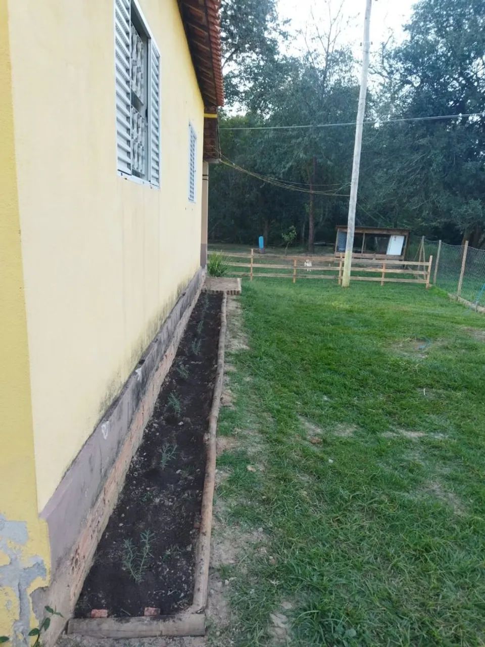 Chácara 2500m², São José Do Alegre M/G  - Foto 3