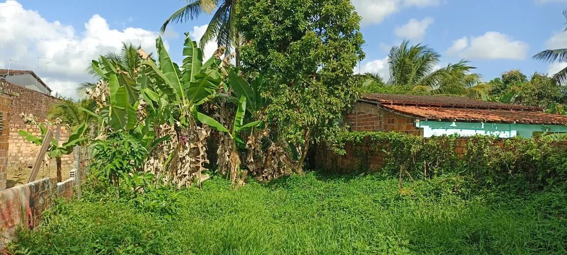 Vende se um terreno em Dias D'Ávila BA  - Foto 4