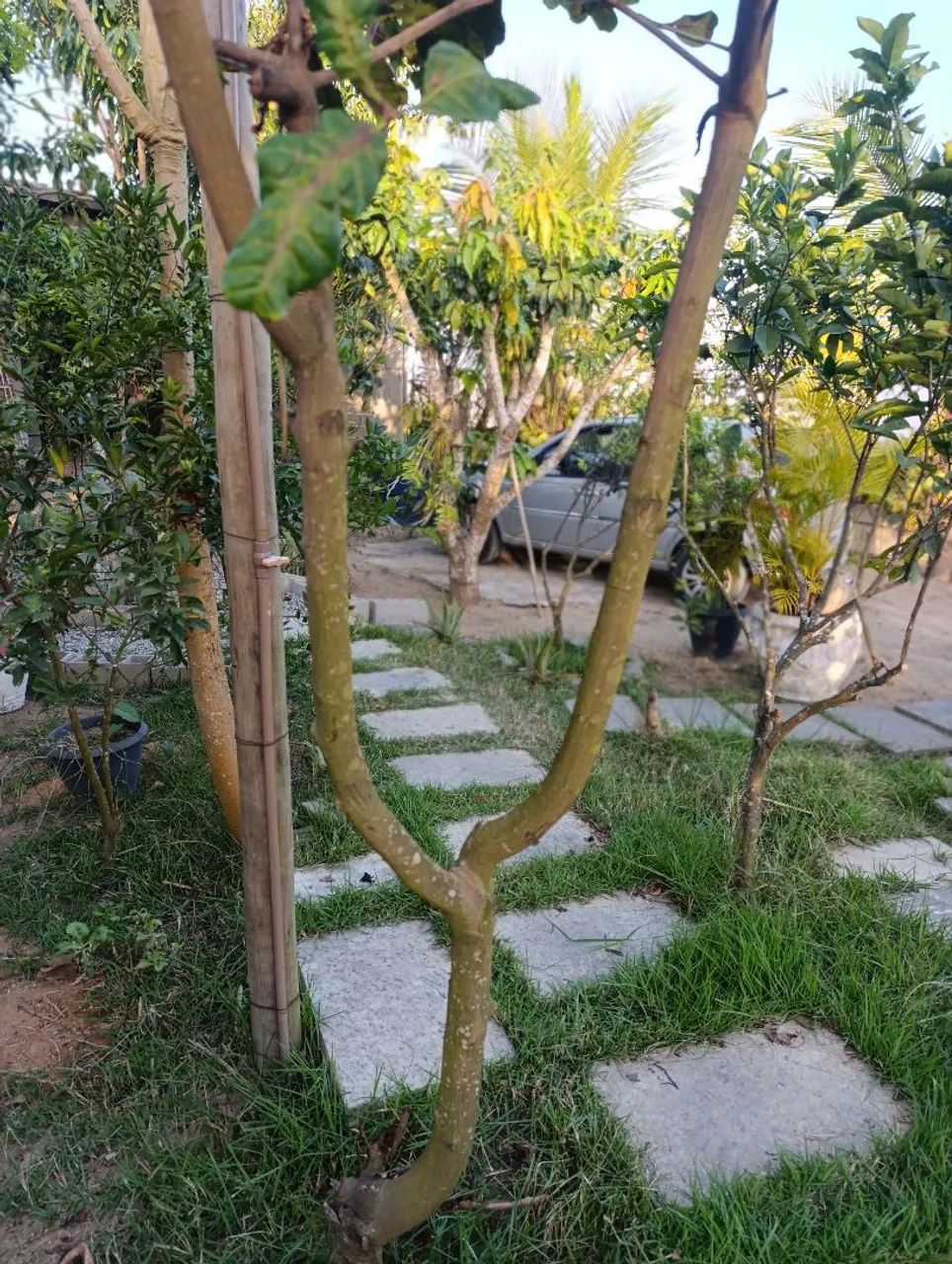 Chácara loft para temporada  - Foto 5