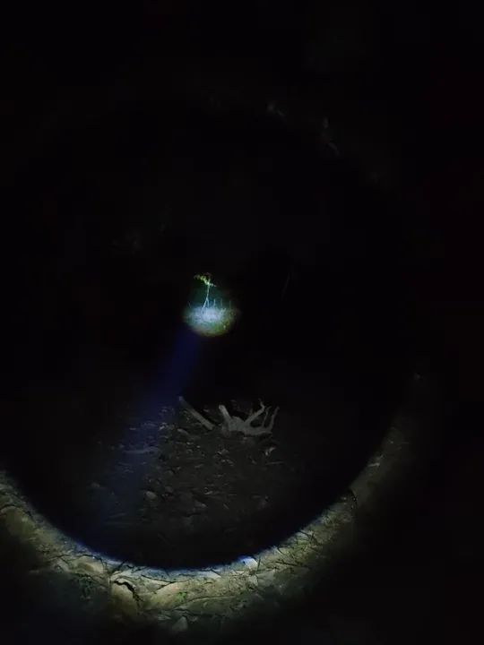 LANTERNA DE LED - Foto 2