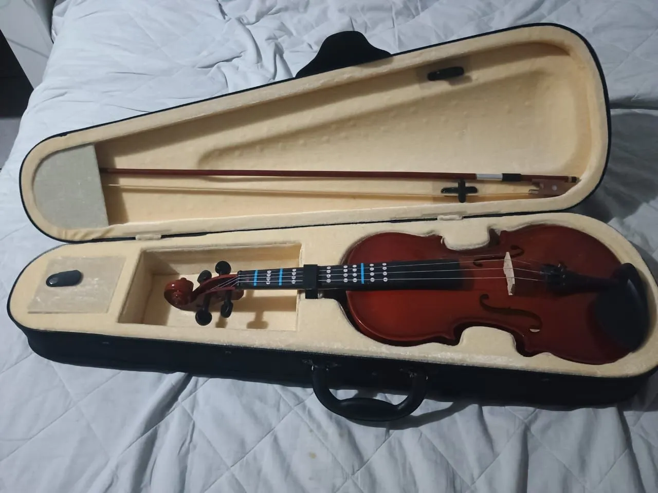 Violino