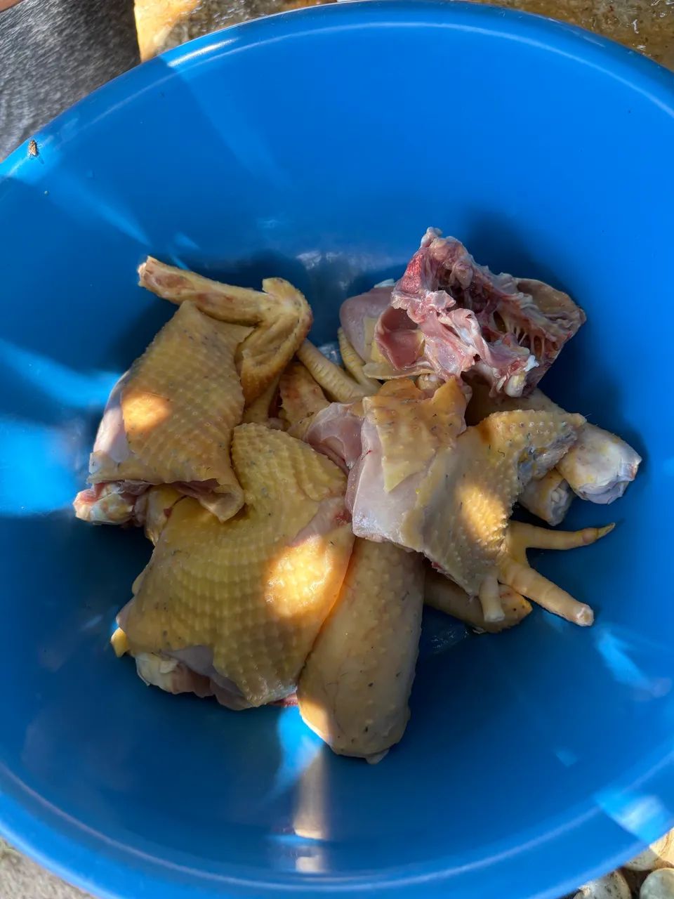 Galinha Caipira - Foto 2