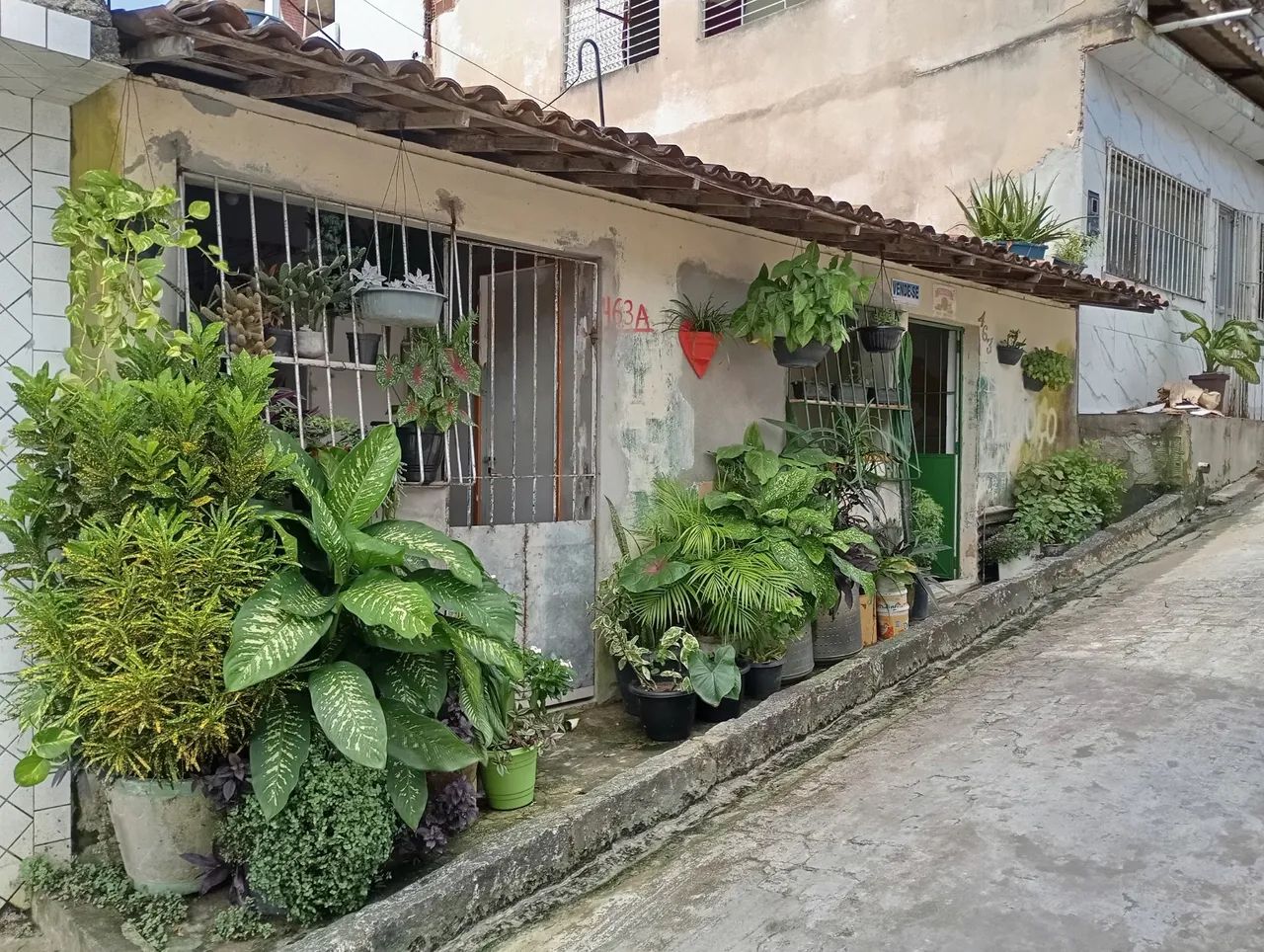 Foto - Recife - COHAB