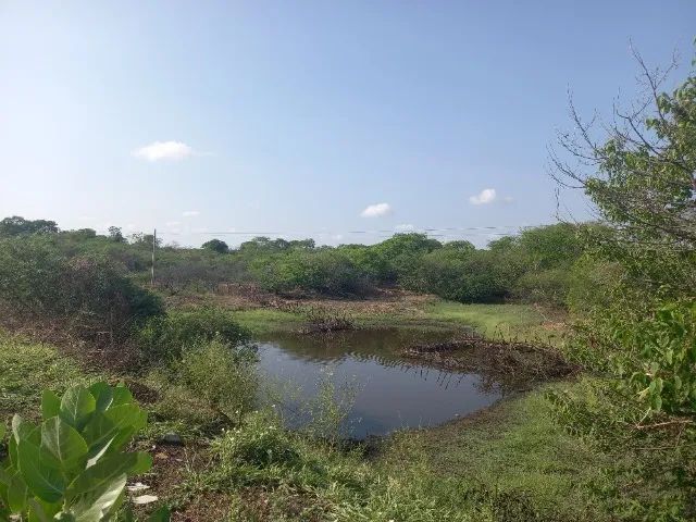 Área com aprox. 5 hectares toda beira de pista - Foto 3