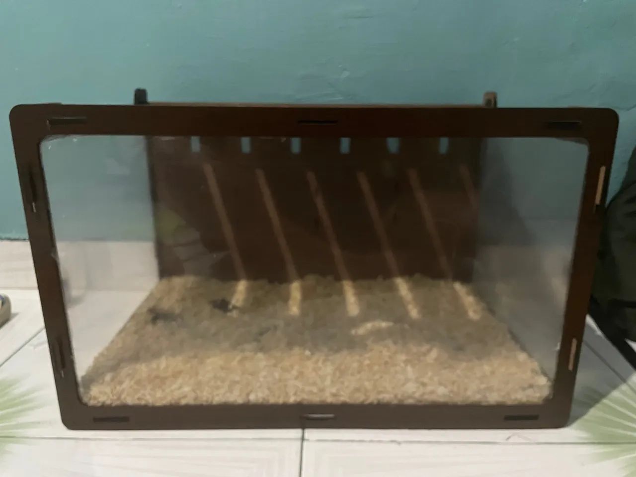 Terrário para Hamster  - Foto 2