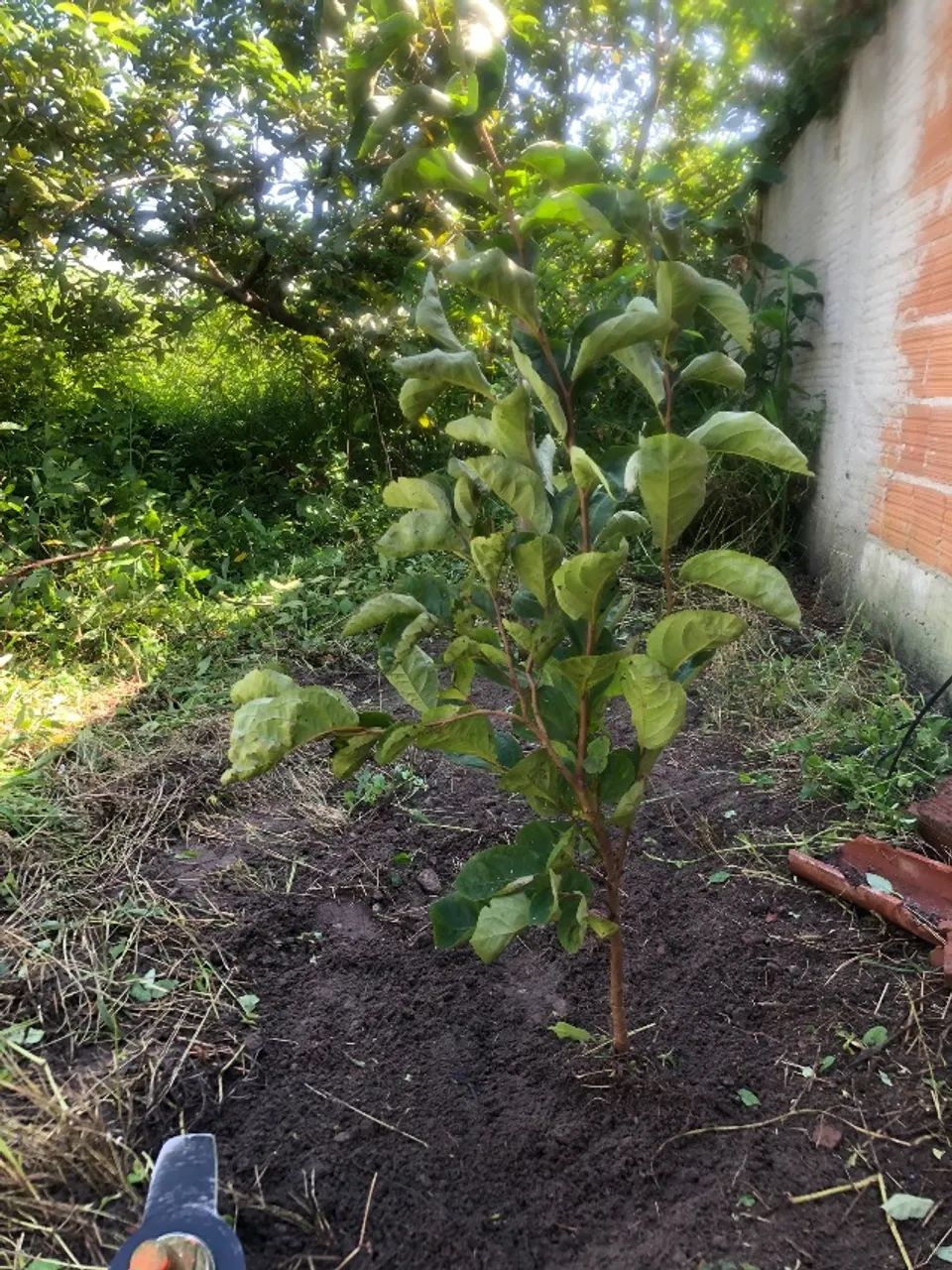 Terreno em Cabo Frio  - Foto 4