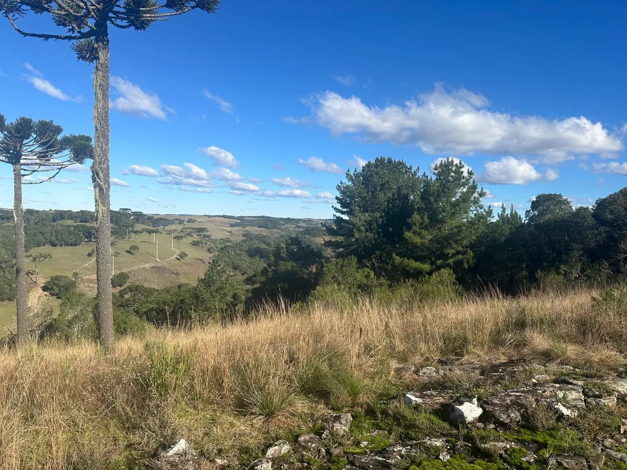 CHÁCARA 2.3 Hec  - Foto 4