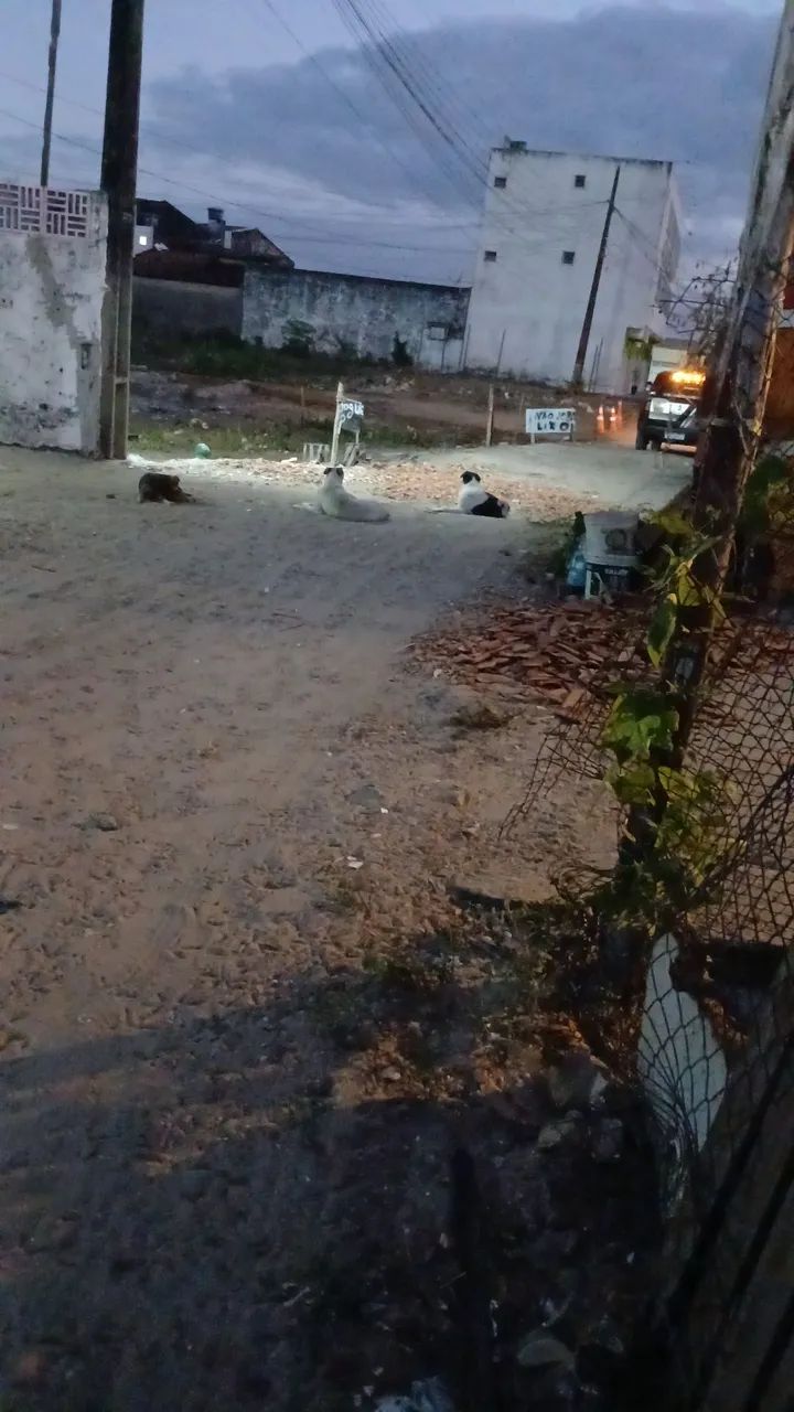 Vendo  terreno  localizado  no maços  freire 2 