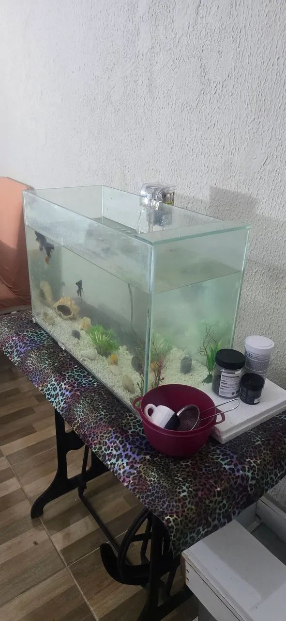 Aquário  - Foto 3
