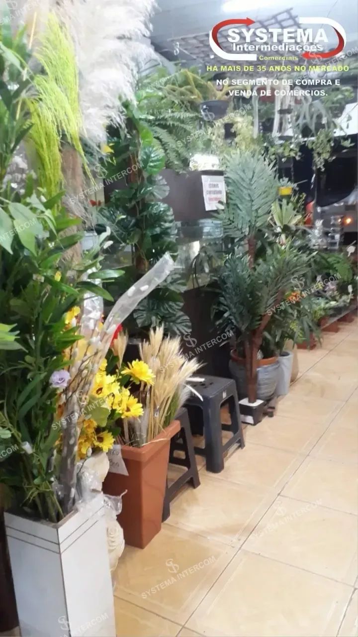 Loja de jardinagem e utilidades em Osasco - Foto 3