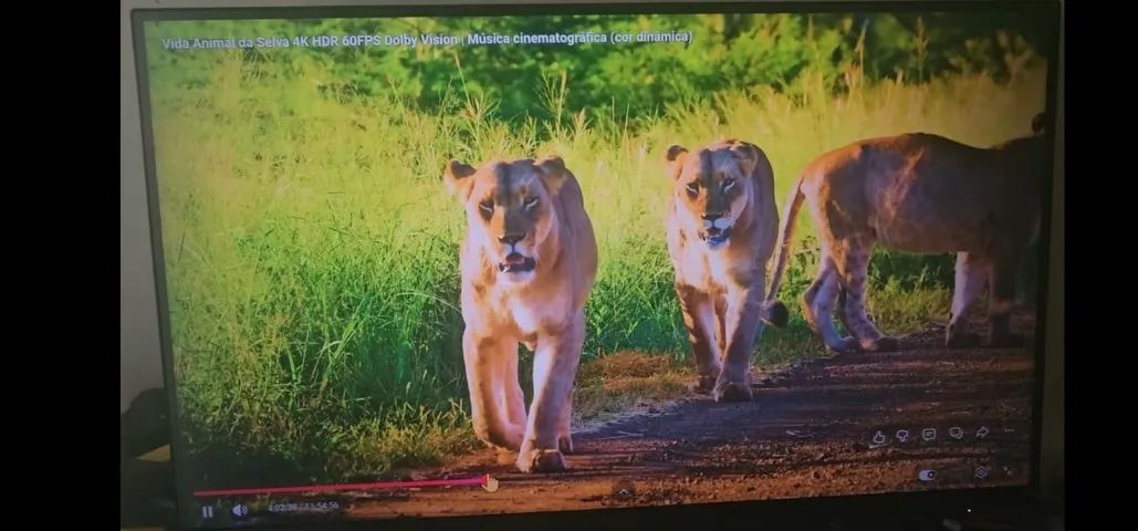 Monitor 4k 60hz HDR 