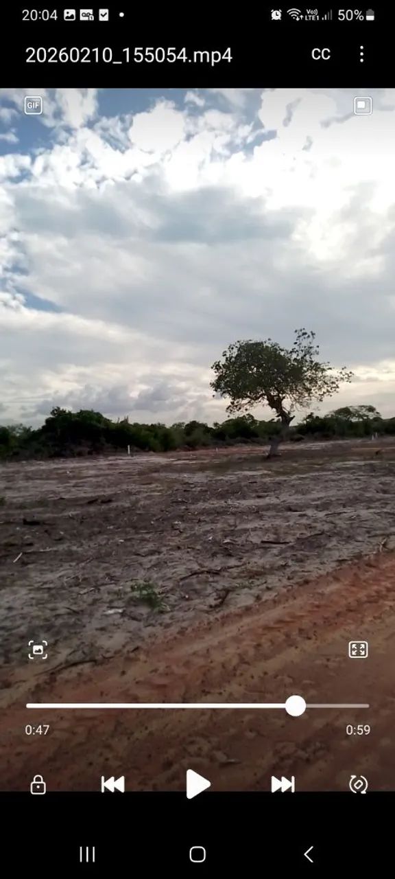 Terrenos em Lucena - Foto 2