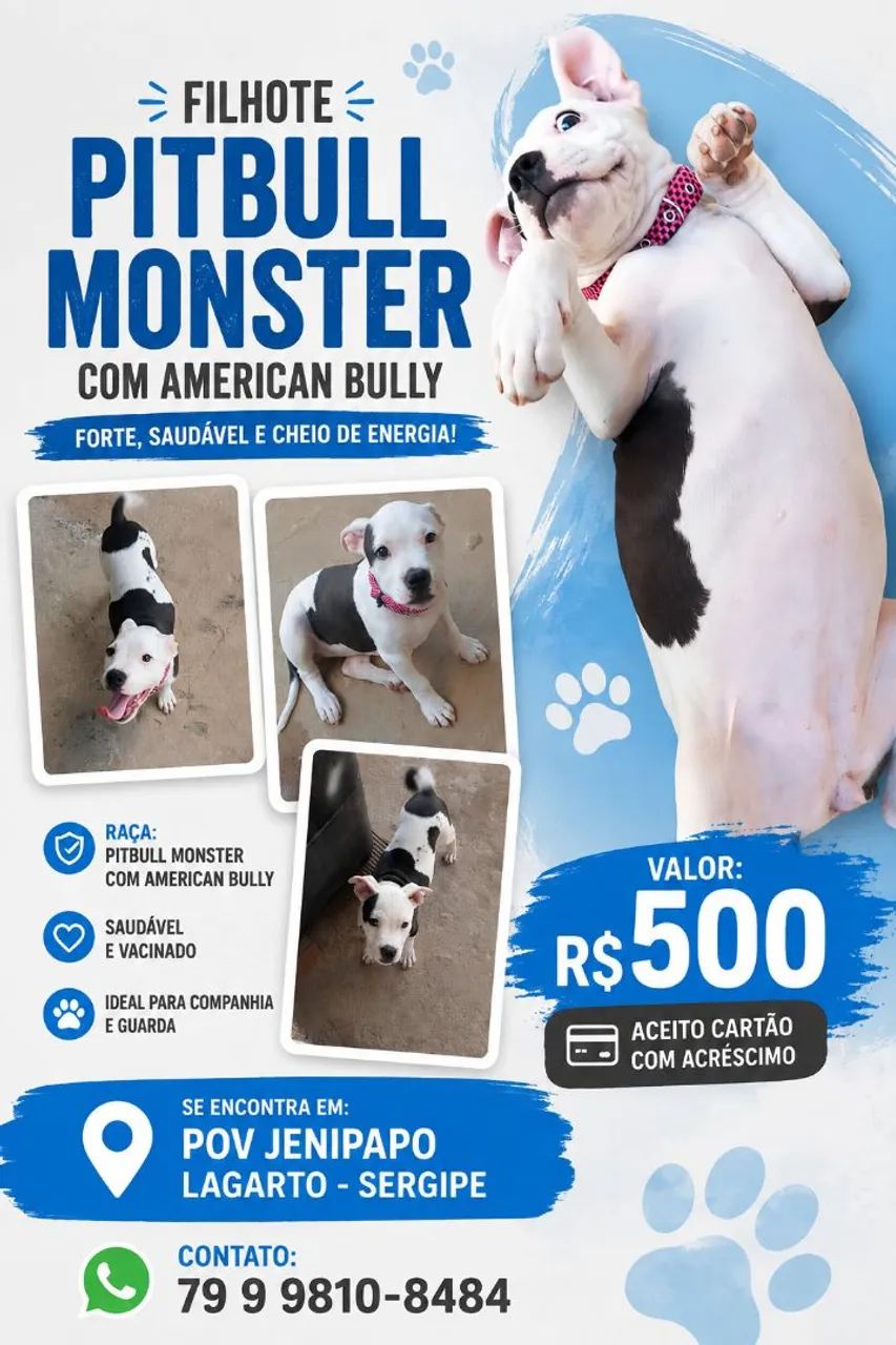 pitbull monster com American Bully