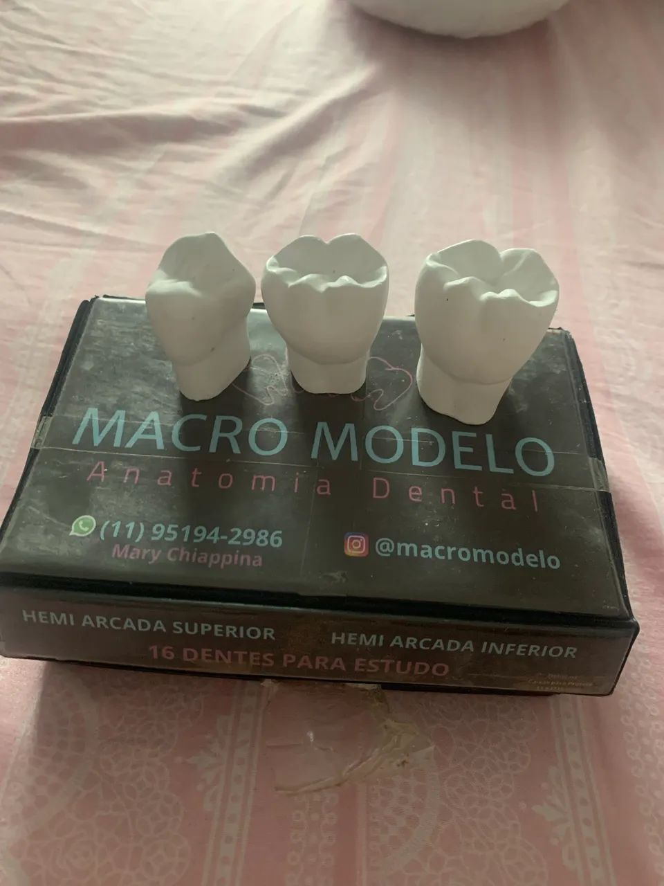 Macro Modelo de dentes  - Foto 2