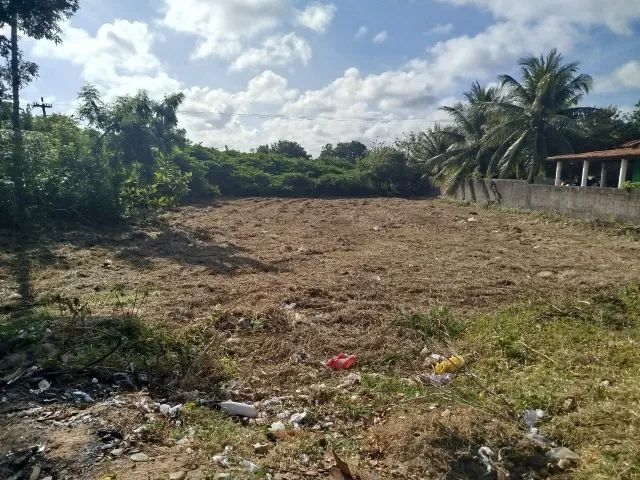 Terreno em Pitimbu Vista Mar - Foto 4