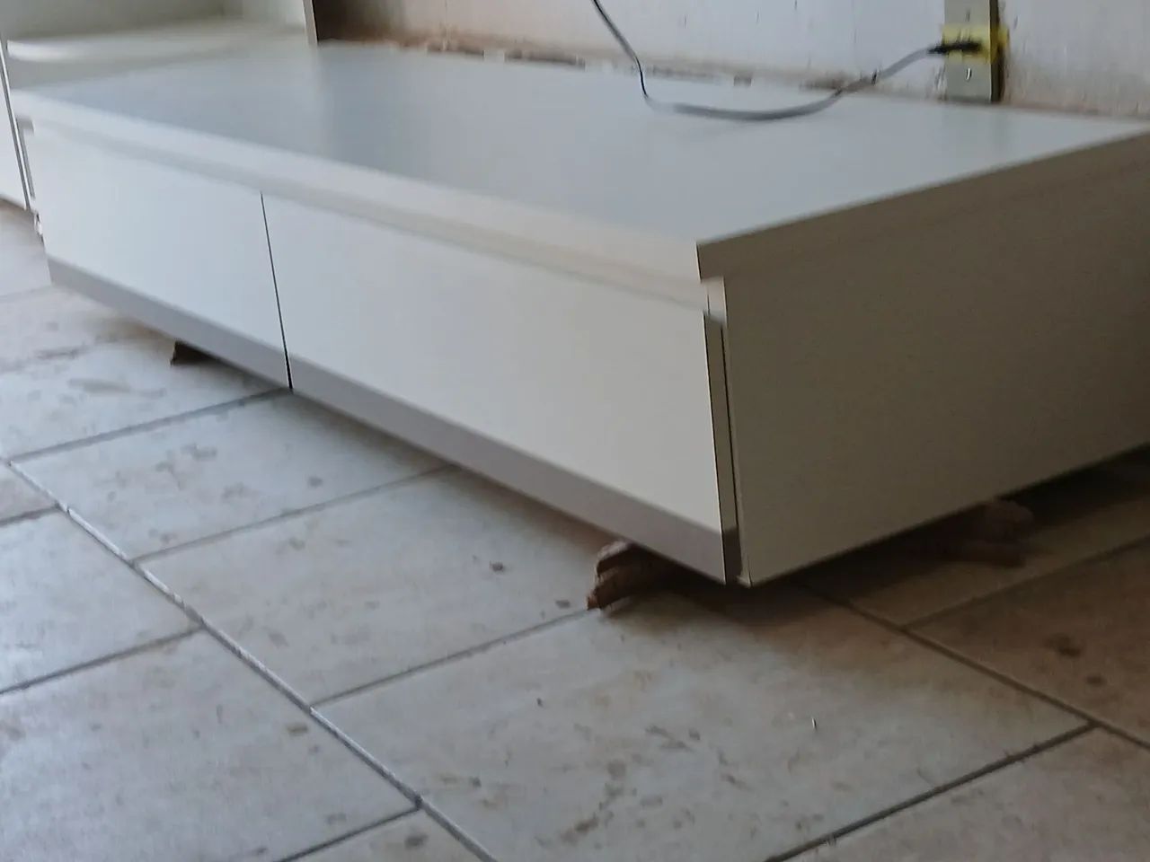 Expositor bancada baixa 161x49  - Foto 5