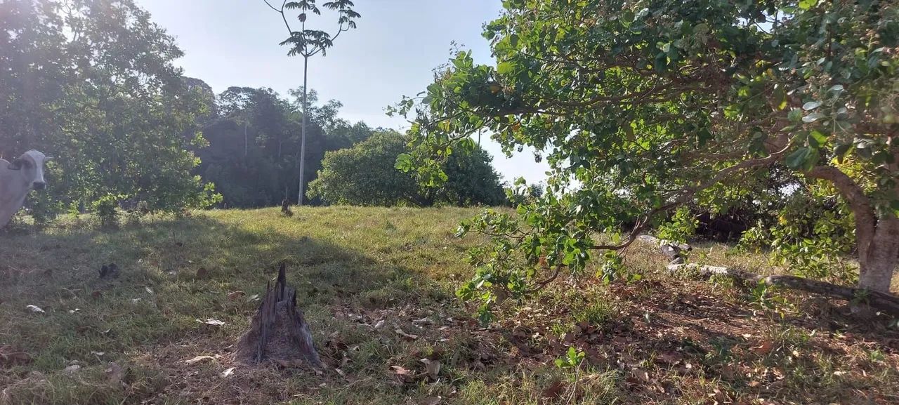 4 Ilhas - presidente figueiredo  - Foto 5