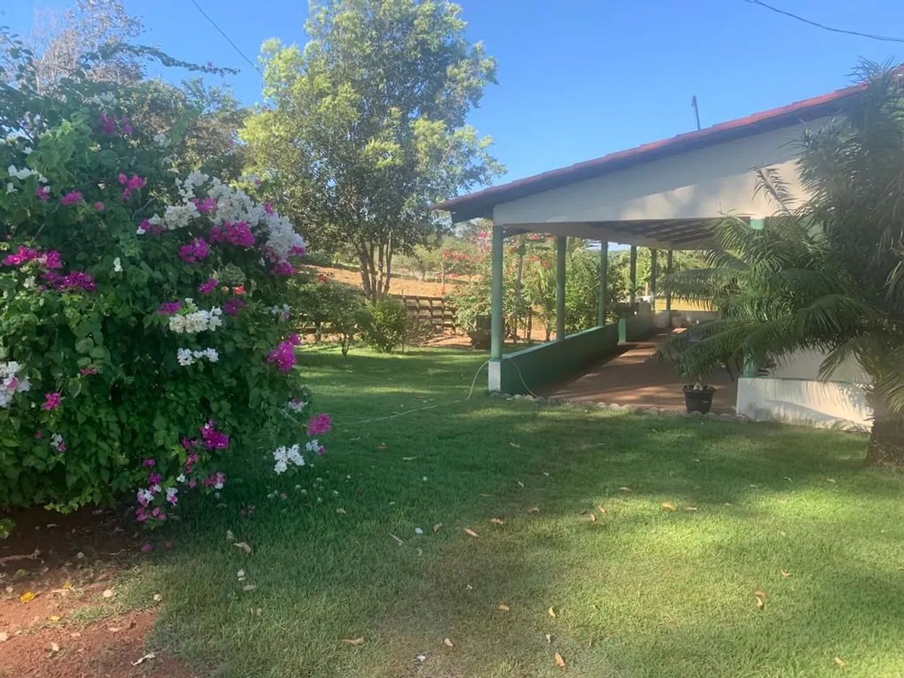 Vendo Fazenda em Miranorte - Foto 3