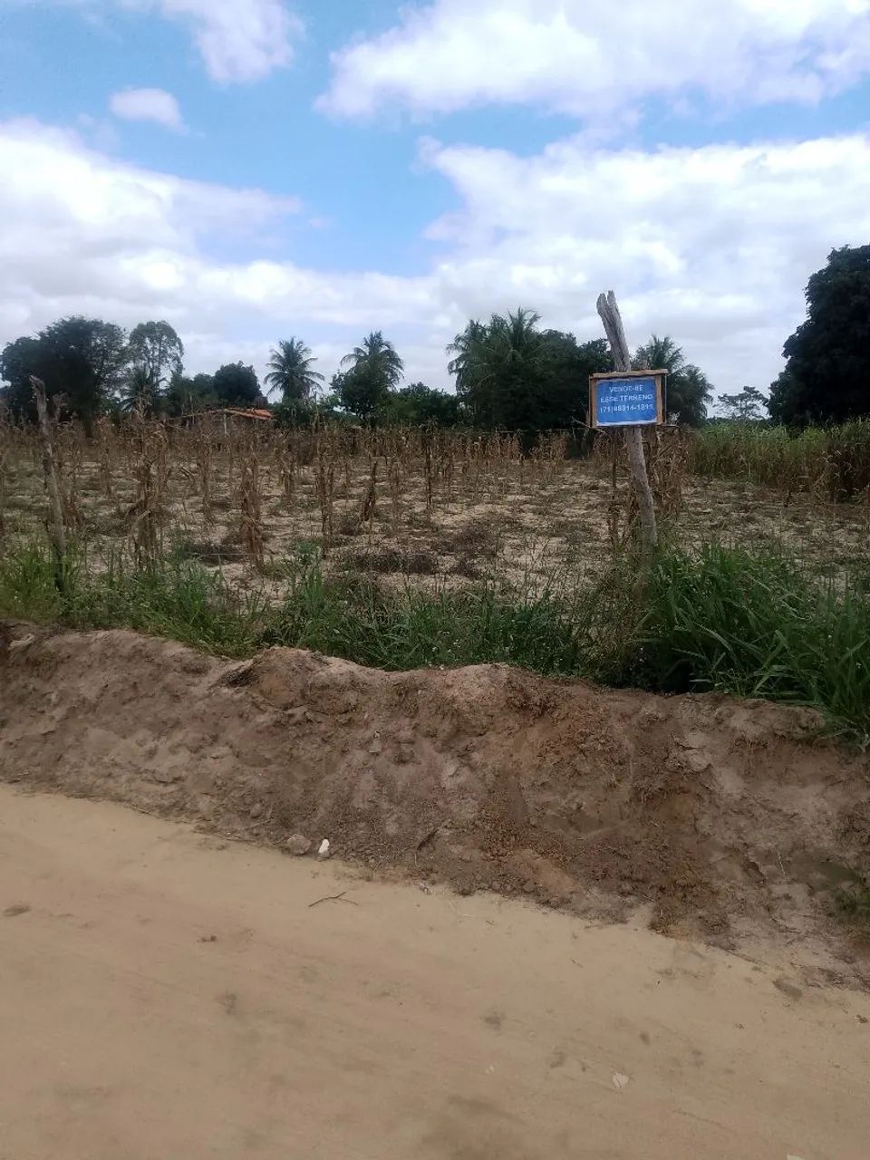 Vende - Se este terreno  - Foto 3