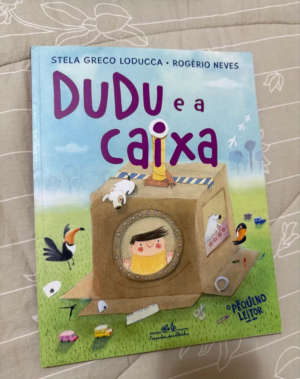 Livro Dudu e a caixa 