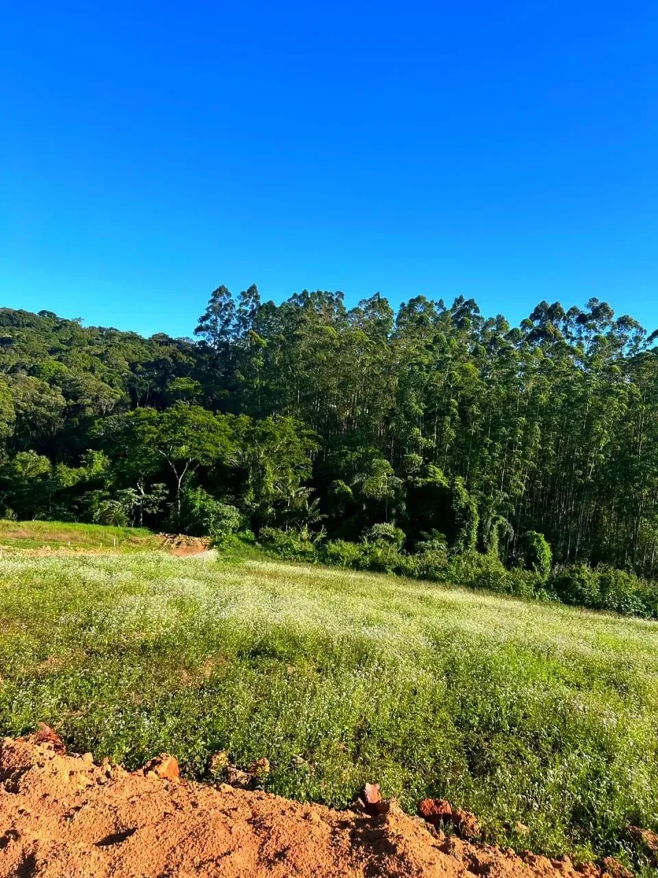 O lugar ideal para construir começa aqui - Foto 3