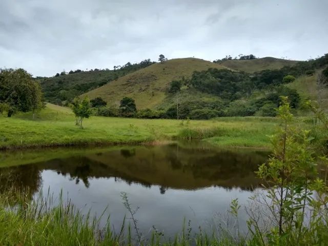 Fazenda 63Hectares Ibicui-Ba - Foto 2