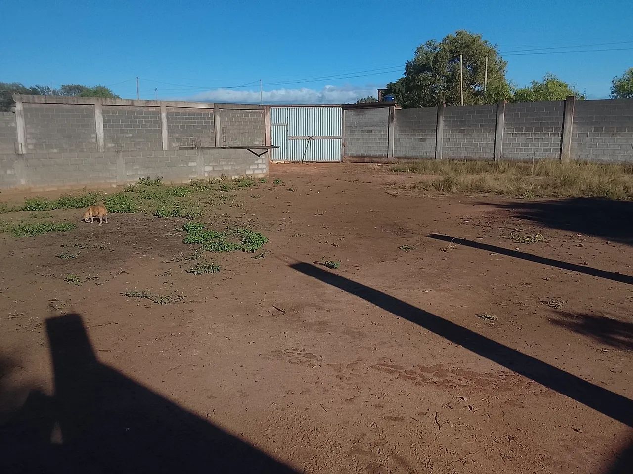 Chácara  - Foto 3