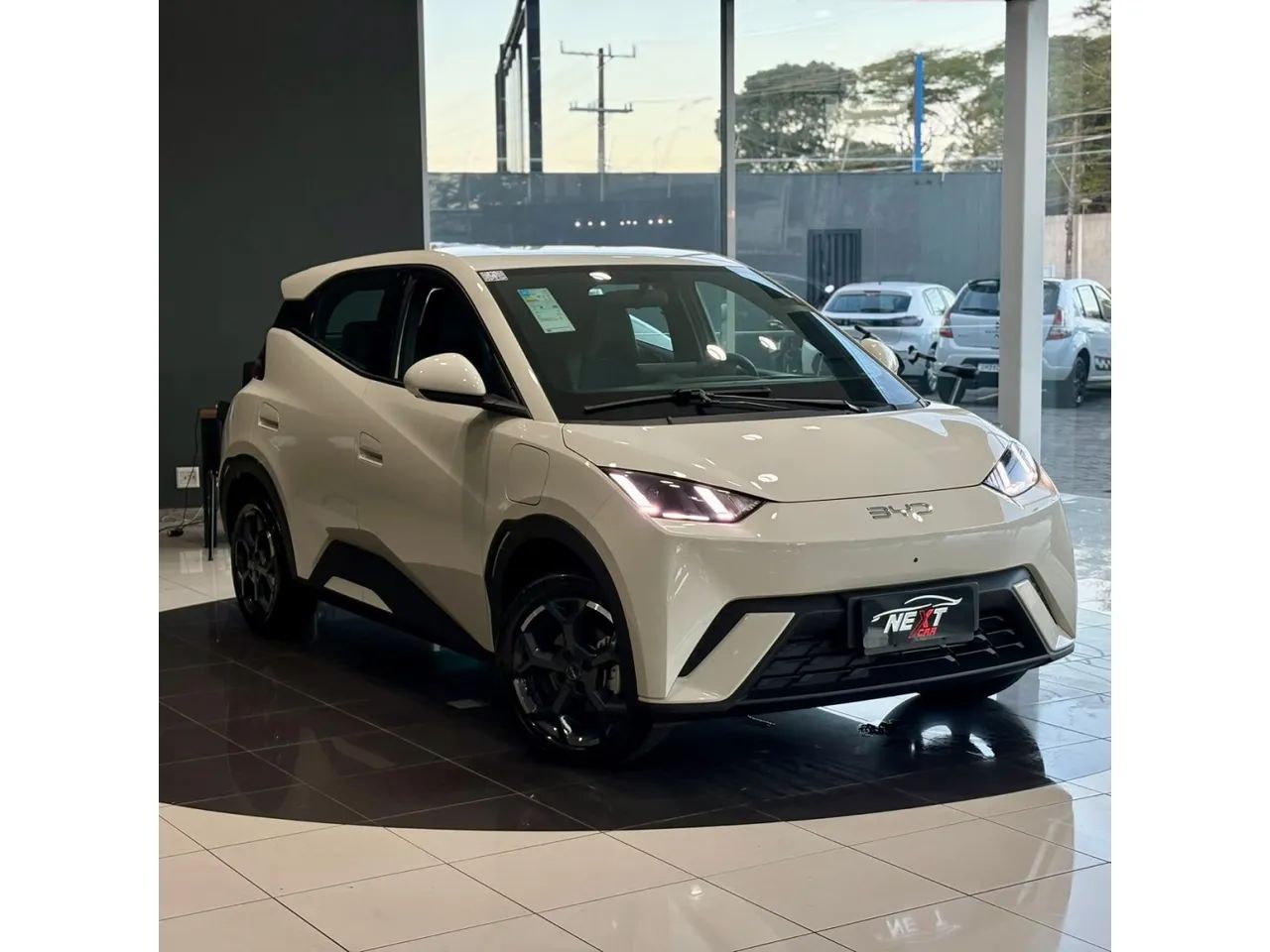 BYD Dolphin Mini (Elétrico) 2027