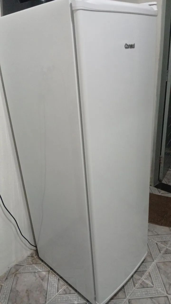 Frizer horizontal  consul