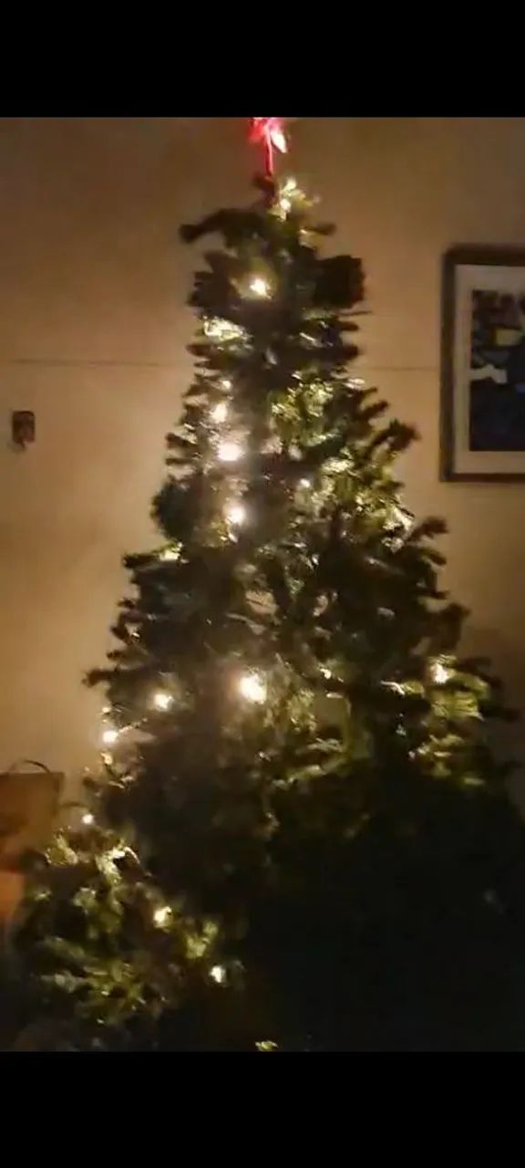 Árvore de Natal 2,40 cm - Foto 2