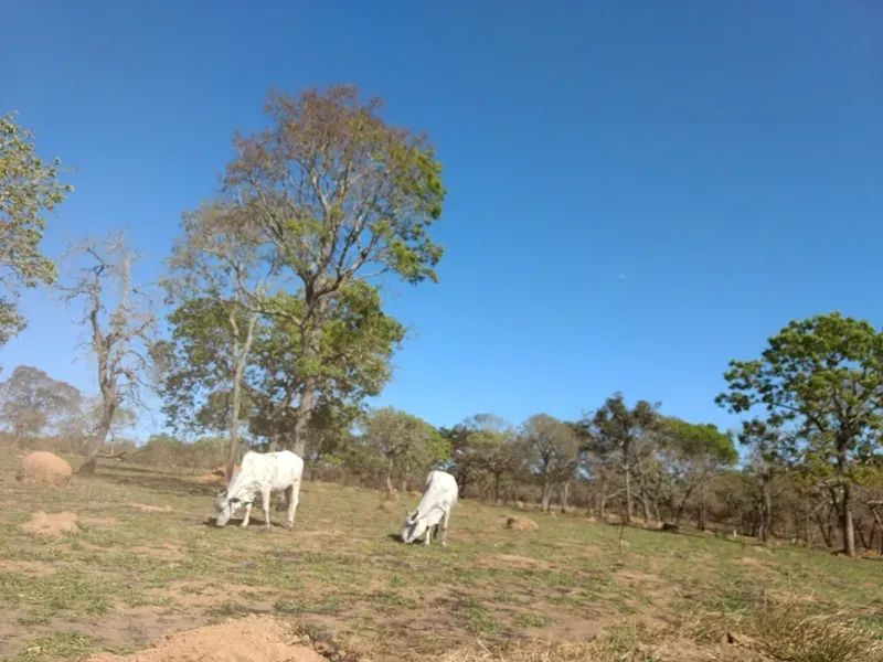 Chácara à venda, Centro - Carmo do Cajuru/MG - Foto 4