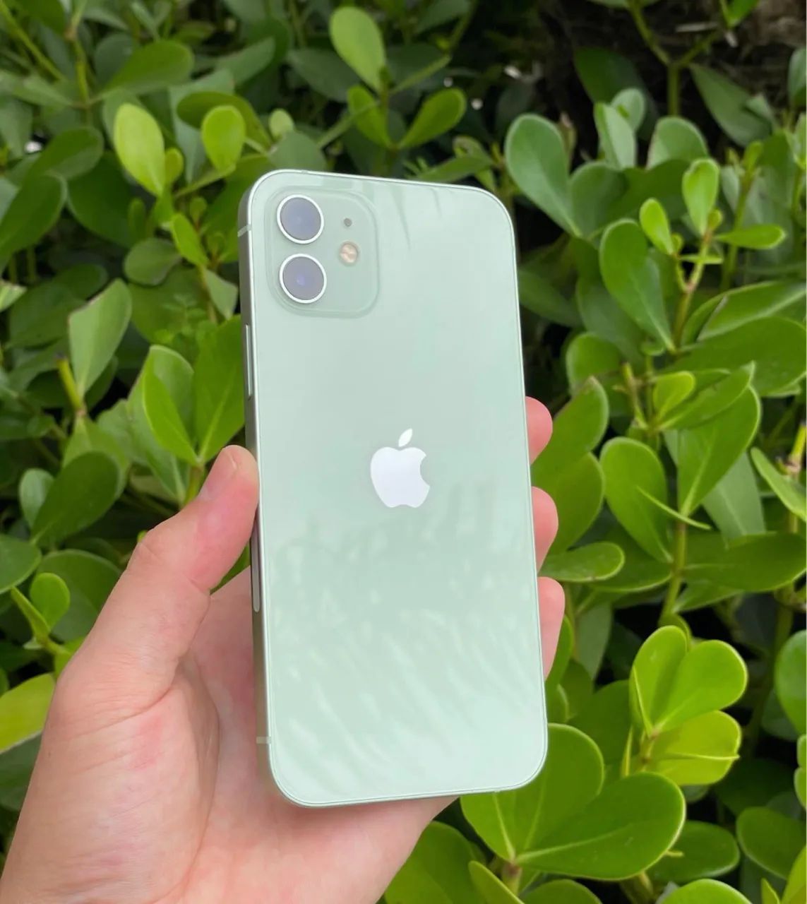 iPhone 12 verde 64 GB Garantia 6 meses - Celulares e Smartphones