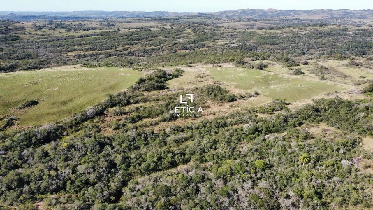 Campo de Pecuária - Foto 4