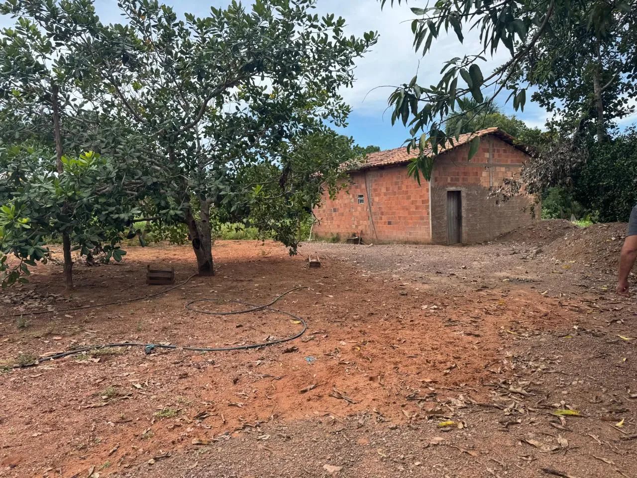 Fazenda - Foto 5