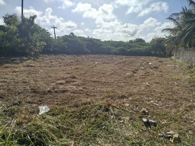Terreno em Pitimbu Vista Mar - Foto 3