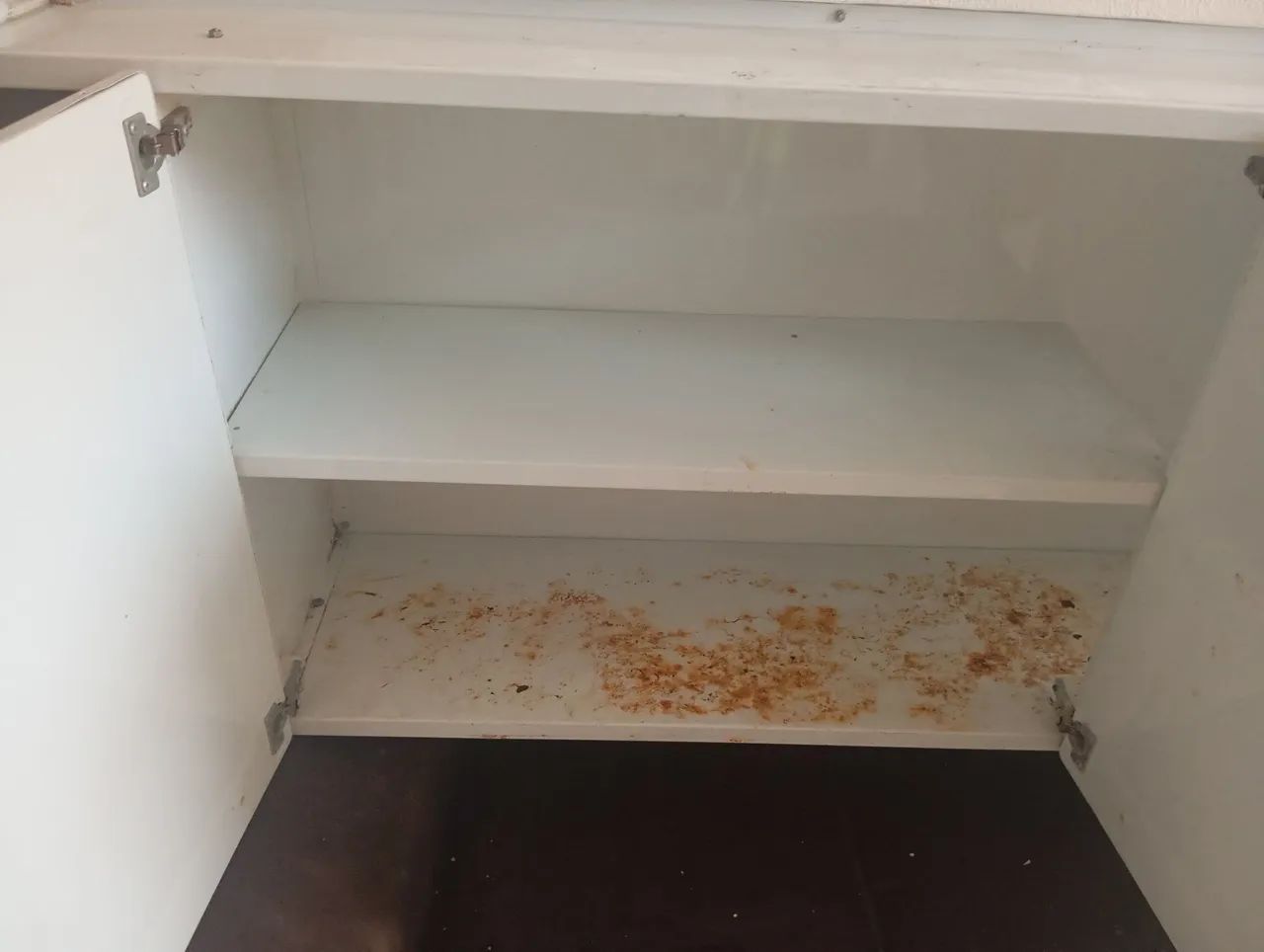 Armário de cozinha - Foto 6