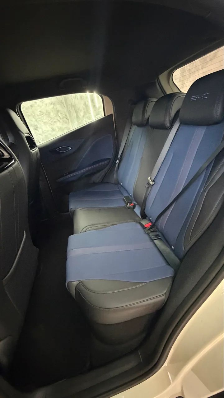 BYD Dolphin GS (Elétrico) 2027 - Foto 3