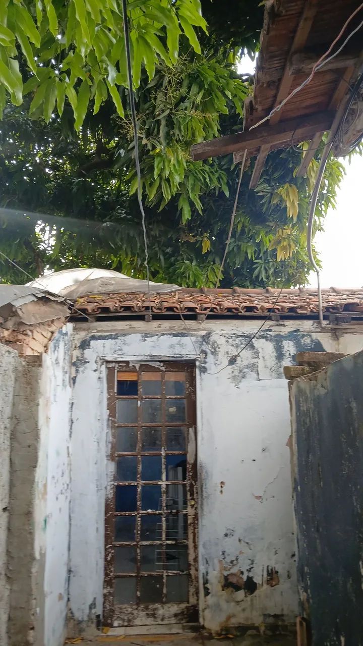 Foto - Goiânia - Setor Coimbra