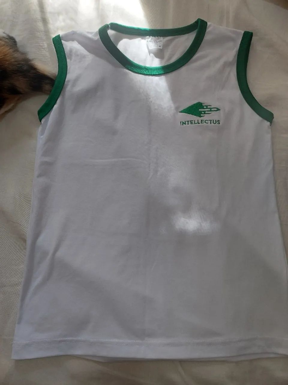 Uniforme intellectus - Foto 3