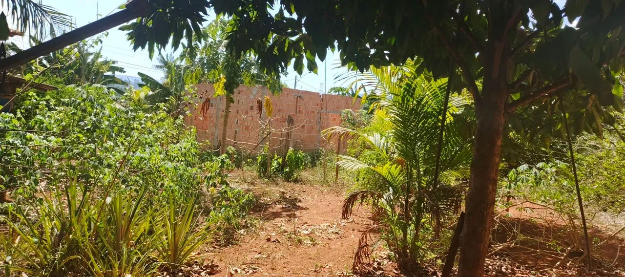 Vende-se lote  - Foto 4