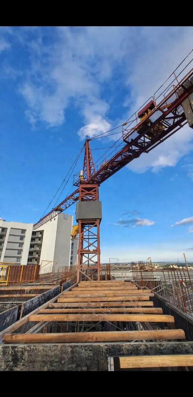Grua Pingon