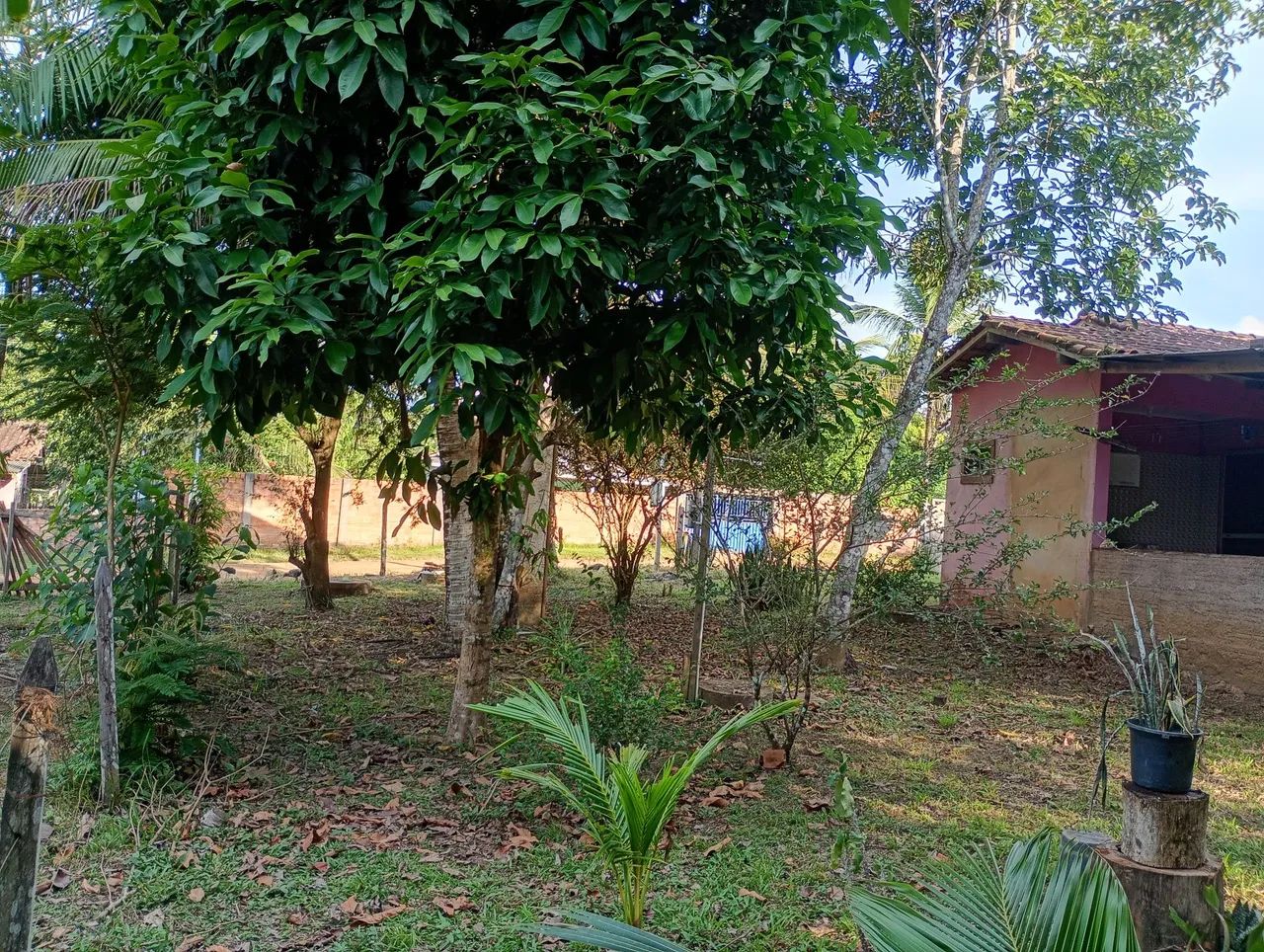 VENDO ESSA CASA  - Foto 5