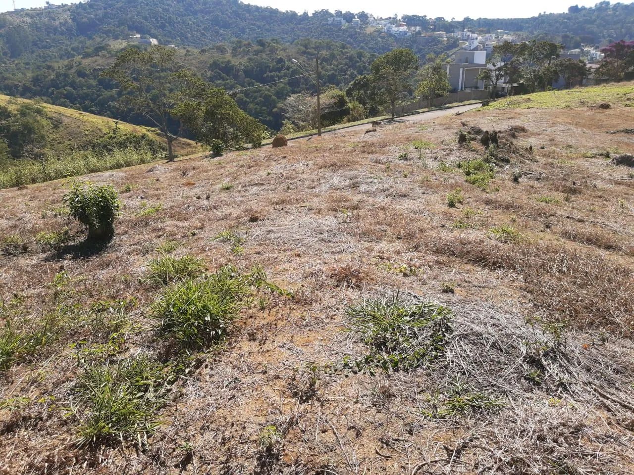 Lote / Terreno - Salvaterra - Foto 3