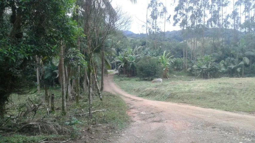 Terreno Escriturado com 3.610m² - Foto 2