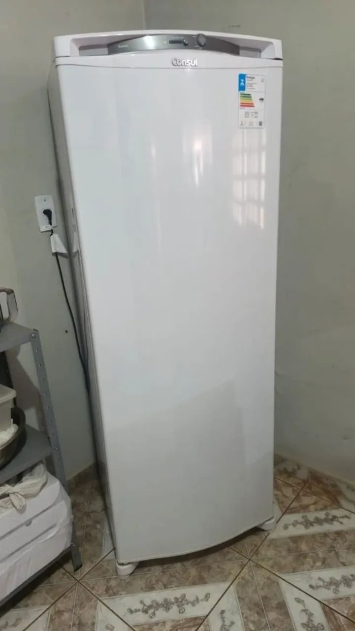Freezer Vertical Consul 