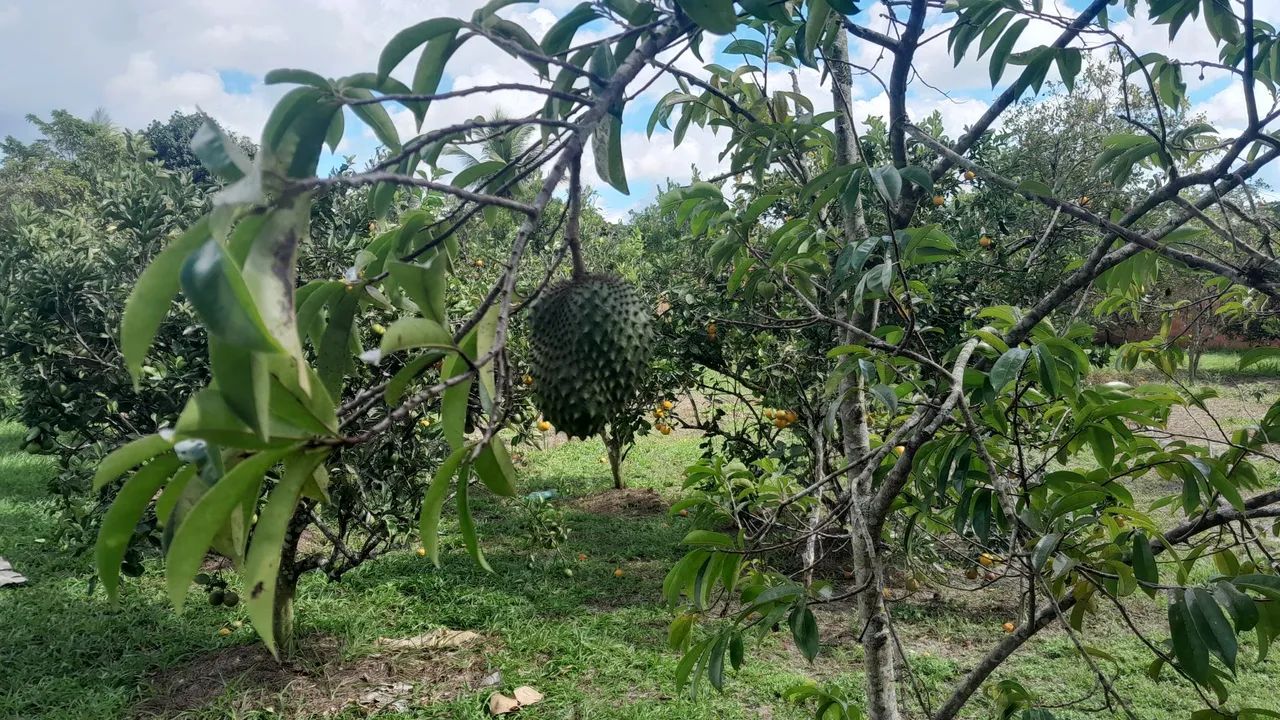 Sitios já todo estruturado