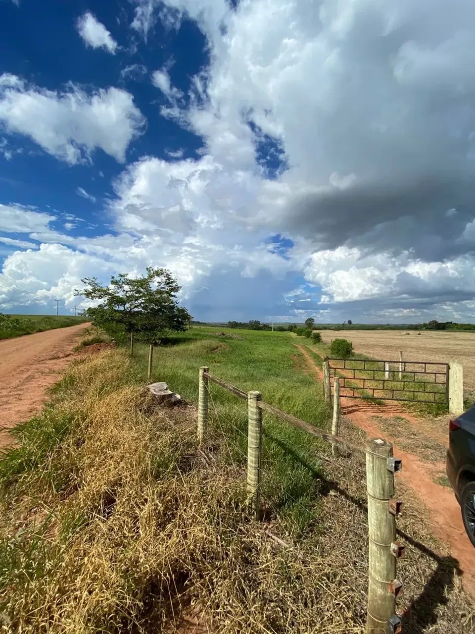 OPORTUNIDADE RURAL EM CIANORTE - Foto 3
